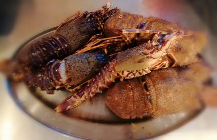 Adriatic Holiday, fresh lobster